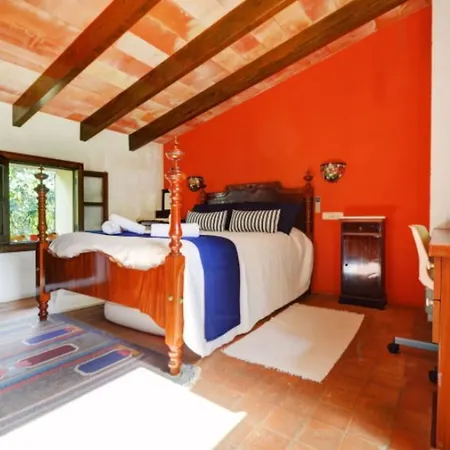 105746 - In Andratx Villa *